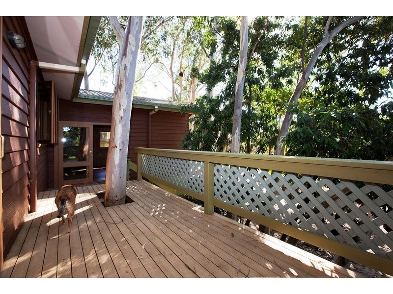 54 Toolga Street, Mount Coolum QLD 4573