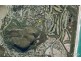 11 Tanah West Street, Mount Coolum QLD 4573