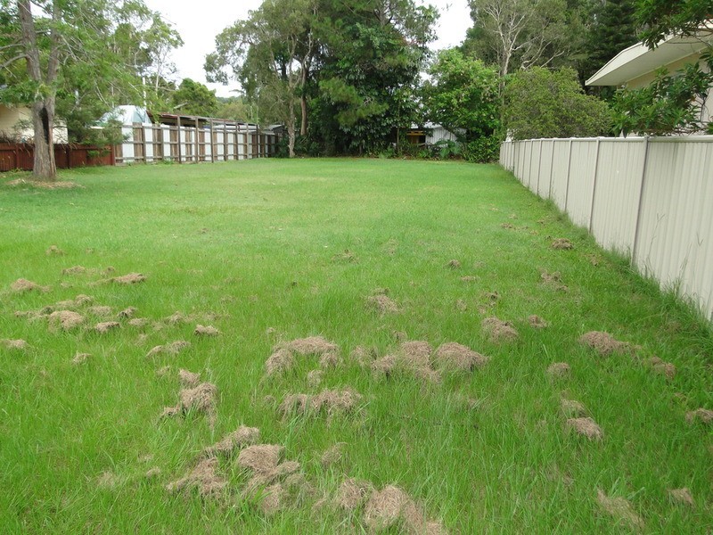 11 Pandanus Avenue, Coolum Beach QLD 4573