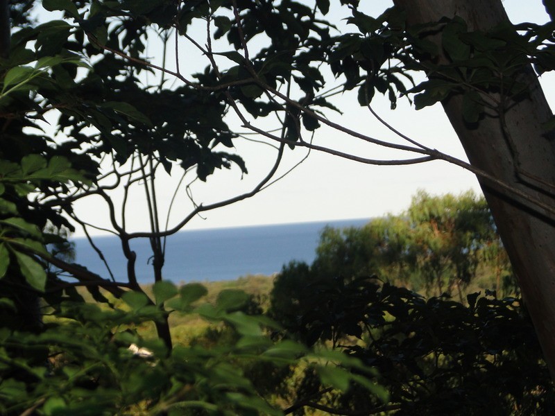 15 Hilltop Crescent, Coolum Beach QLD 4573