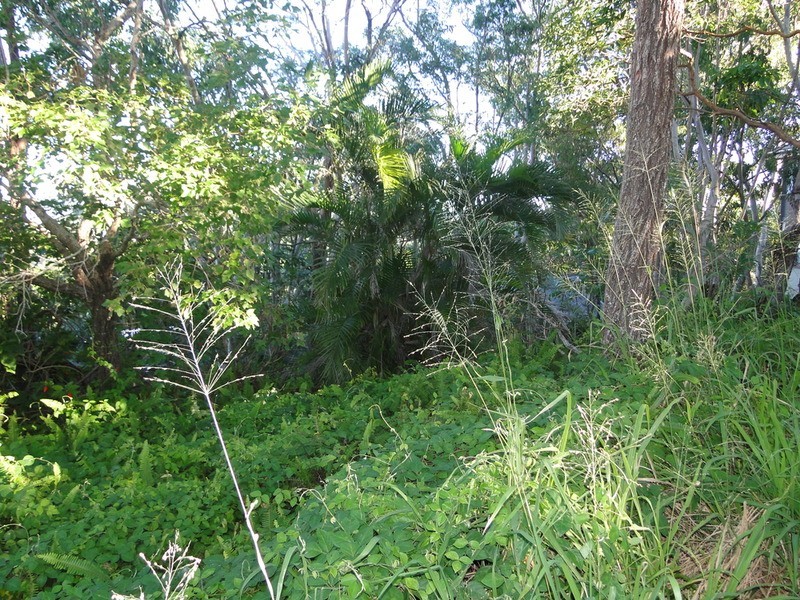 15 Hilltop Crescent, Coolum Beach QLD 4573