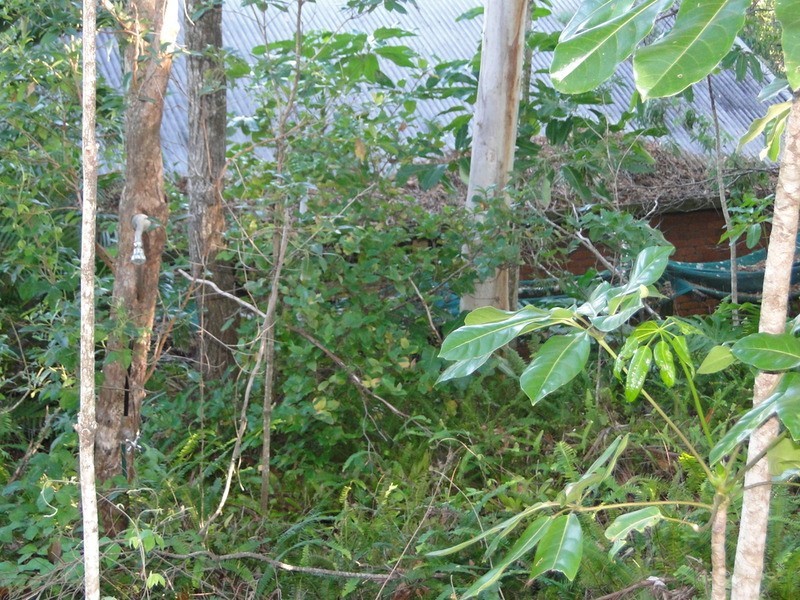 15 Hilltop Crescent, Coolum Beach QLD 4573