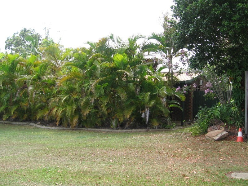 13 Lumeah Drive, Mount Coolum QLD 4573