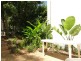 11/1838 David Low  Way, Coolum Beach QLD 4573