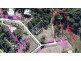 23. Ella Marie Drive, Coolum Beach QLD 4573