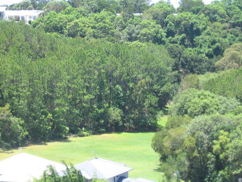 12  Shanagolden Court, Yaroomba QLD 4573