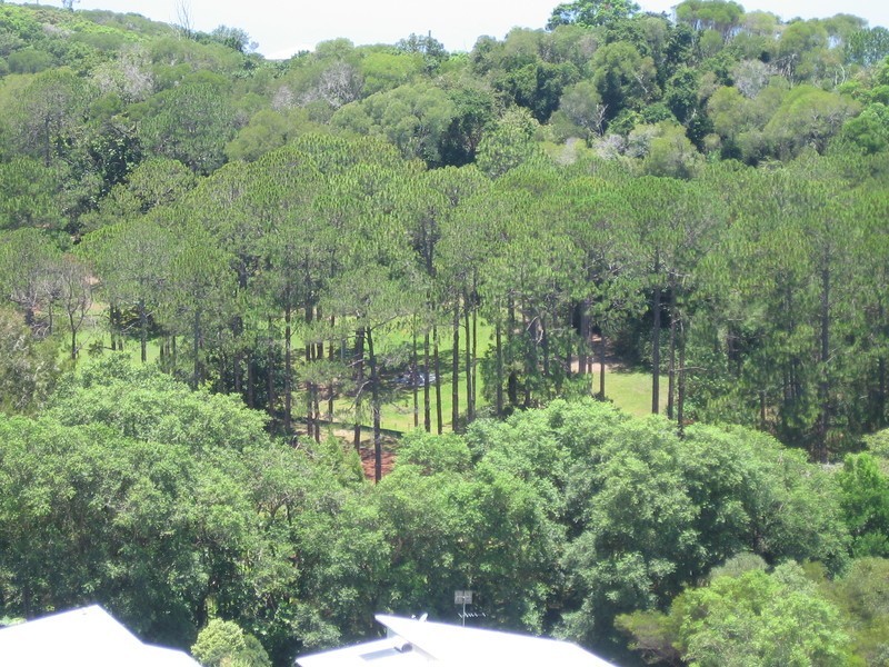 12  Shanagolden Court, Yaroomba QLD 4573