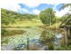 290 Gold Creek Road, Eerwah Vale QLD 4562