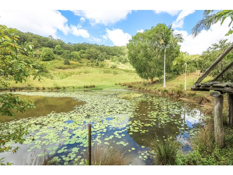 290 Gold Creek Road, Eerwah Vale QLD 4562