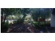 6/1-3 Beacon Street, Sunshine Beach QLD 4567