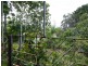 6  Scott Street, Yandina QLD 4561