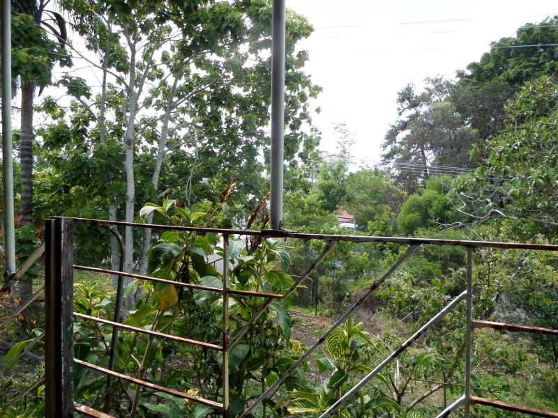 6  Scott Street, Yandina QLD 4561