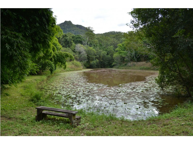 75 Moy Pocket Gap Road, Moy Pocket QLD 4574