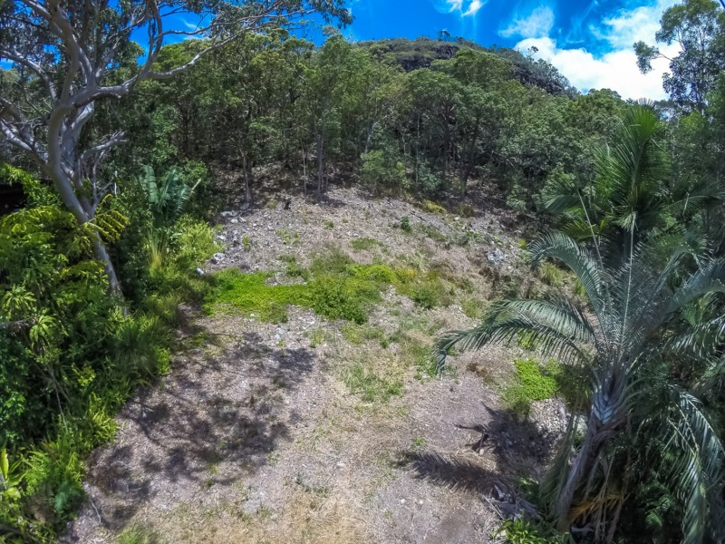 11 Frasco Court, Mount Coolum QLD 4573