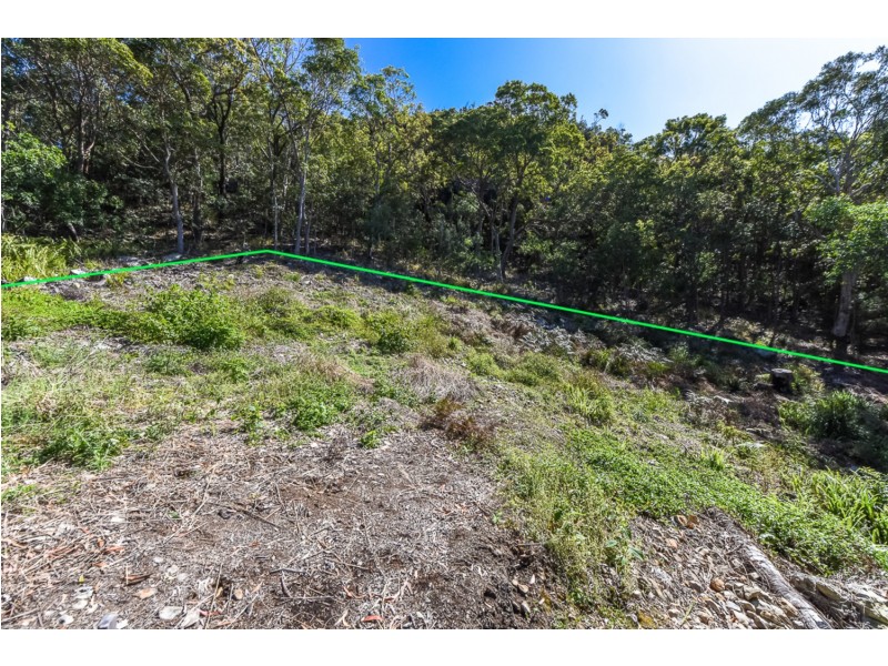 11 Frasco Court, Mount Coolum QLD 4573