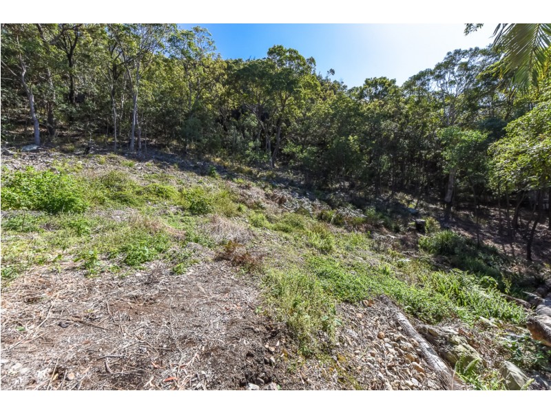 11 Frasco Court, Mount Coolum QLD 4573