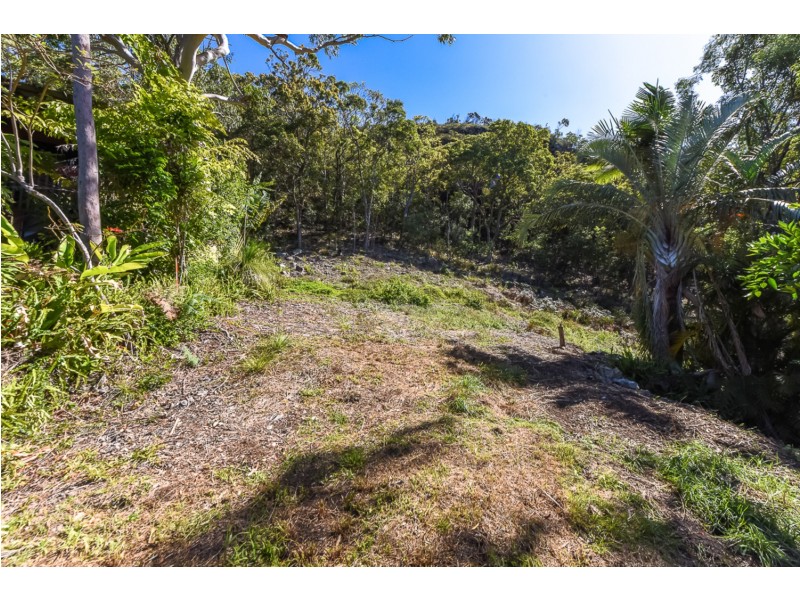 11 Frasco Court, Mount Coolum QLD 4573