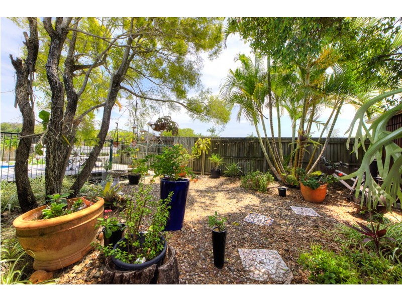 16 Cordellia Street, Coolum Beach QLD 4573