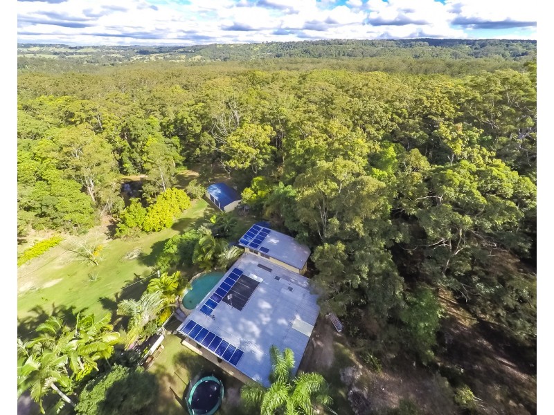 65 Wattle Road, Cooloolabin QLD 4560