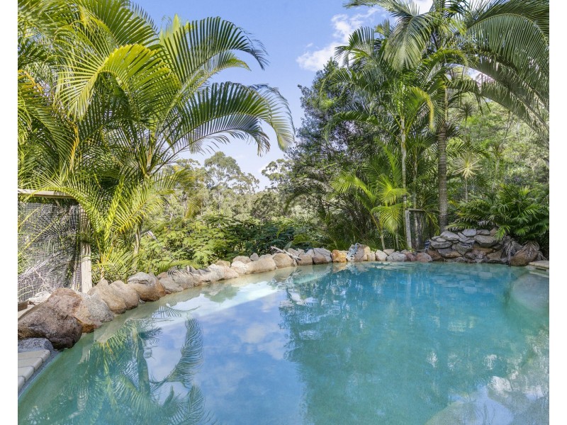 65 Wattle Road, Cooloolabin QLD 4560
