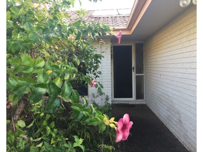 12 Tuckeroo Court, Coolum Beach QLD 4573