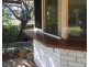 12 Tuckeroo Court, Coolum Beach QLD 4573