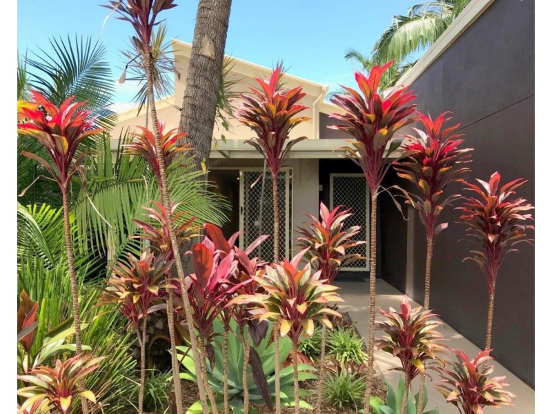 2/100 Yandina Coolum Road, Coolum Beach QLD 4573