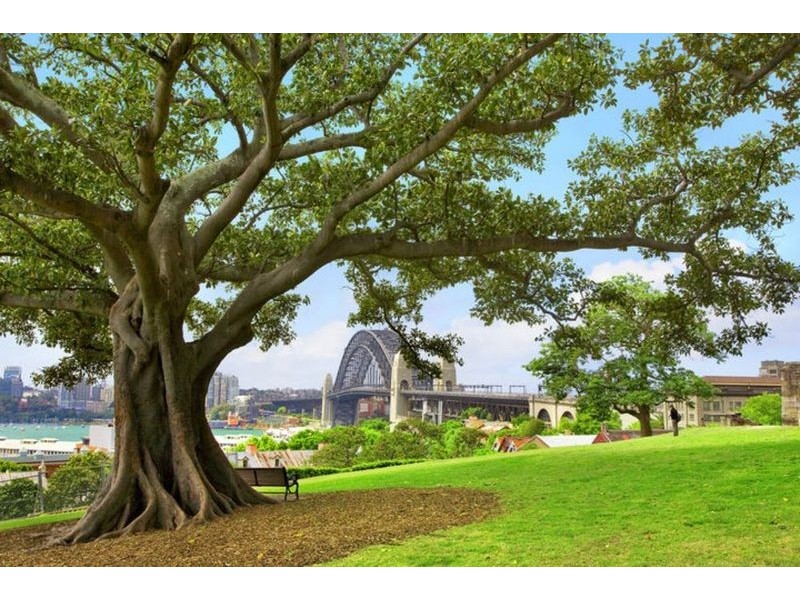 22B/171 Gloucester Street, Sydney NSW 2000