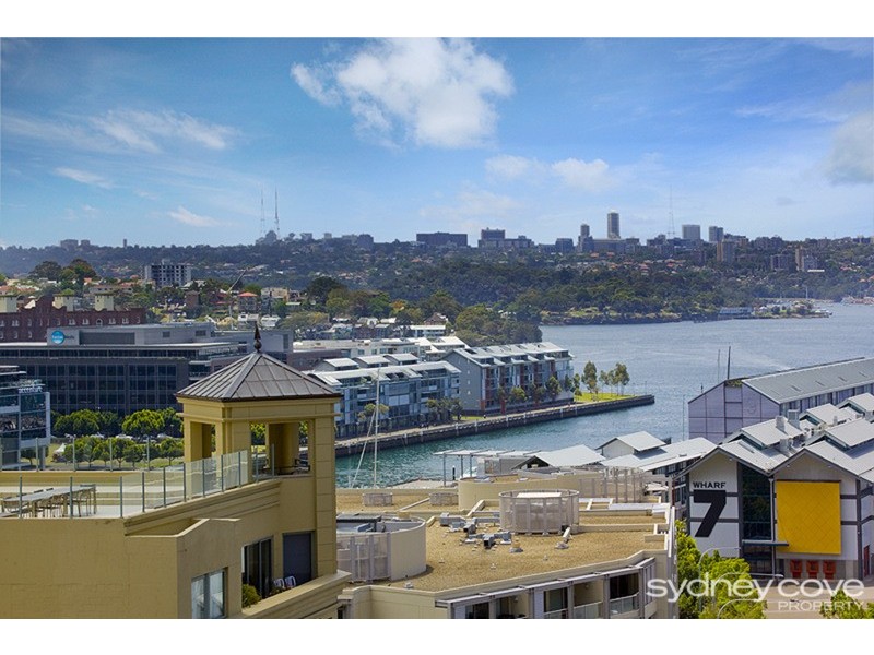 50 Murray Street, Pyrmont NSW 2009