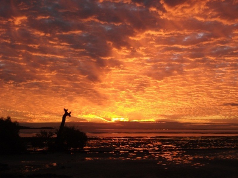 23 Flinders Avenue, Dunwich QLD 4183