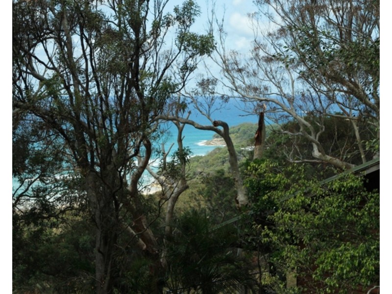 101 Tramican Street, Point Lookout QLD 4183