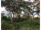 101 Tramican Street, Point Lookout QLD 4183