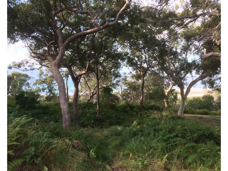 101 Tramican Street, Point Lookout QLD 4183