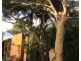 101 Tramican Street, Point Lookout QLD 4183