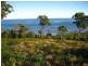 194 Dickson Way, Dunwich QLD 4183