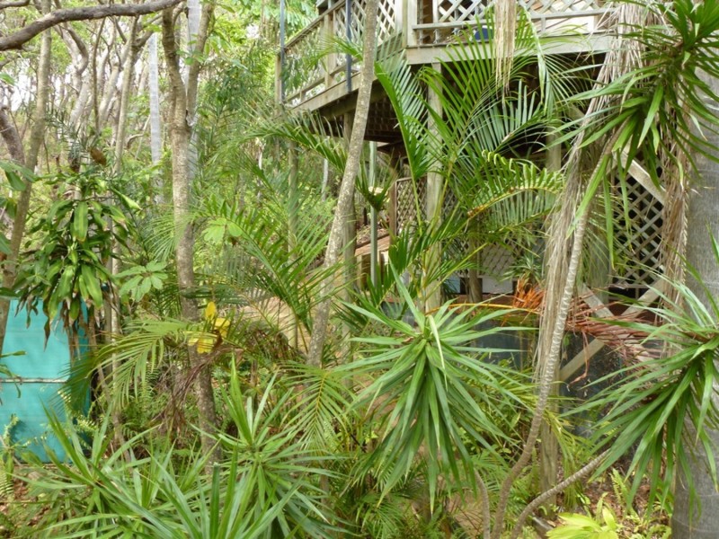 9 Waller Court, Point Lookout QLD 4183