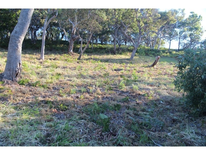 4 Baker Court, Point Lookout QLD 4183