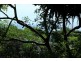 3 Yarrong Road, Point Lookout QLD 4183