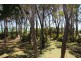 10 Old Ballow Road, Amity QLD 4183