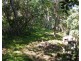 44 Samarinda Way, Point Lookout QLD 4183