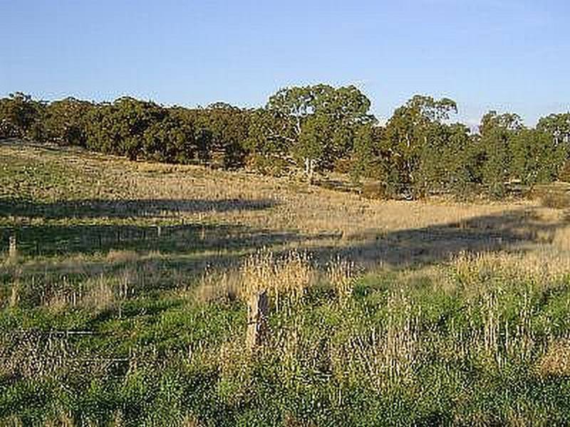 2a Palmerston Street, Newstead VIC 3462