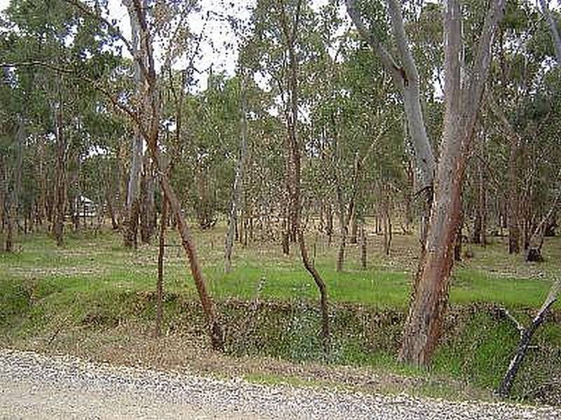 Lot 3 Speciman Gully Road, Castlemaine VIC 3450