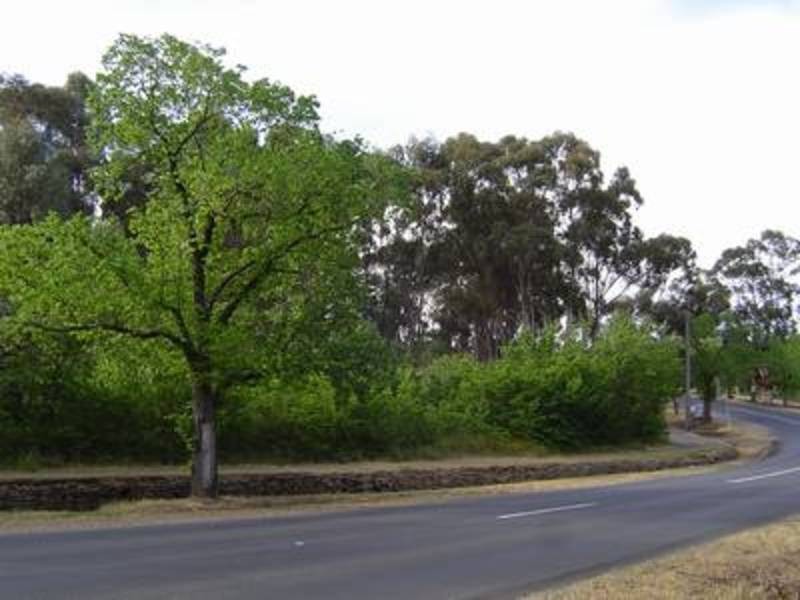 2-6 Newstead Road, Maldon VIC 3463