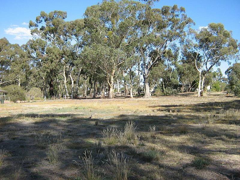 1 Clyde Street, Newstead VIC 3462