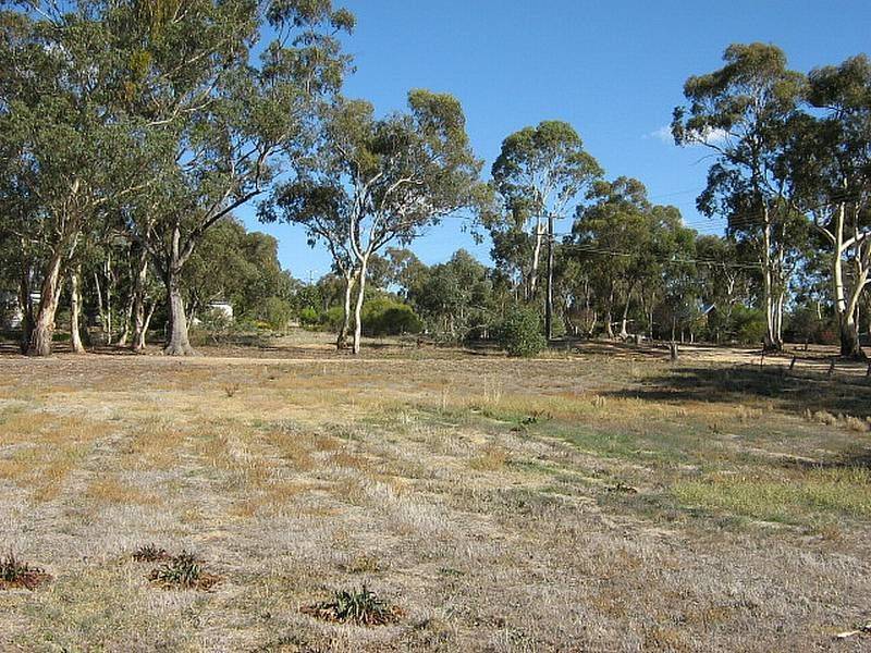 1 Clyde Street, Newstead VIC 3462