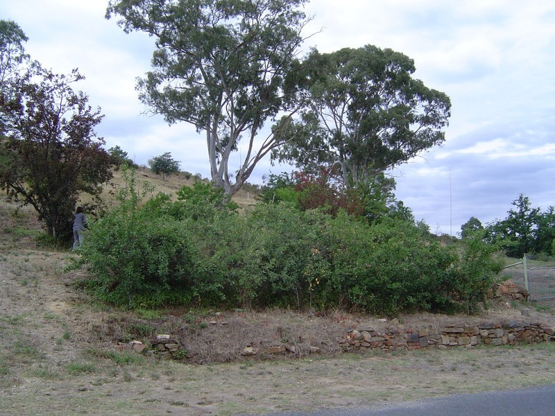 6 Andrew Street, Castlemaine VIC 3450