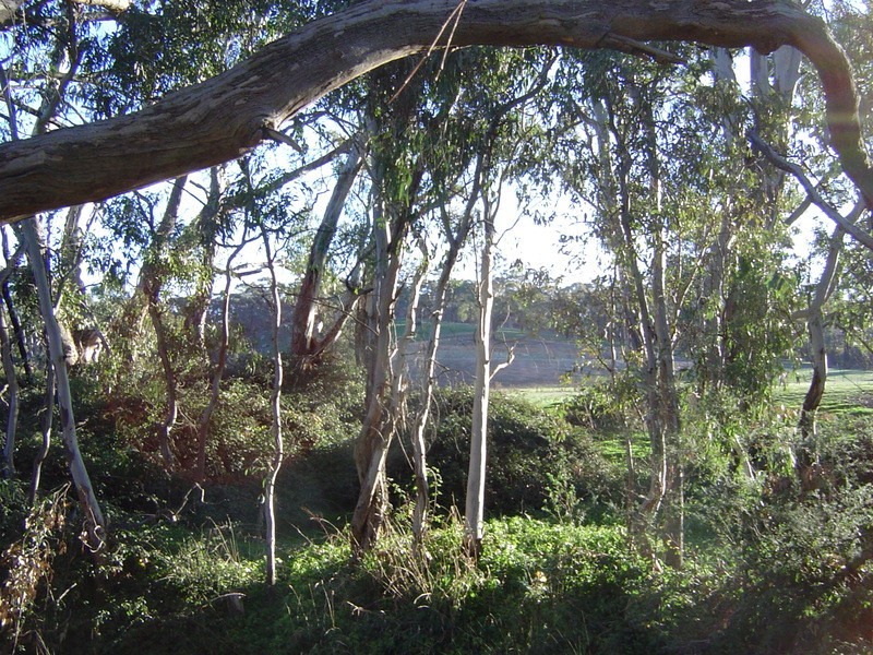 Lot 5 McManus Road, Barkers Creek VIC 3451