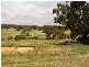 301 Old Drummond Road, Taradale VIC 3447