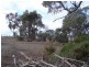 Lot 5 Arthur Street, Taradale VIC 3447