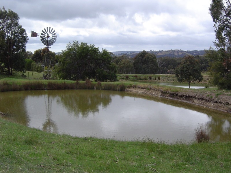 29 Saunders Court, Elphinstone VIC 3448